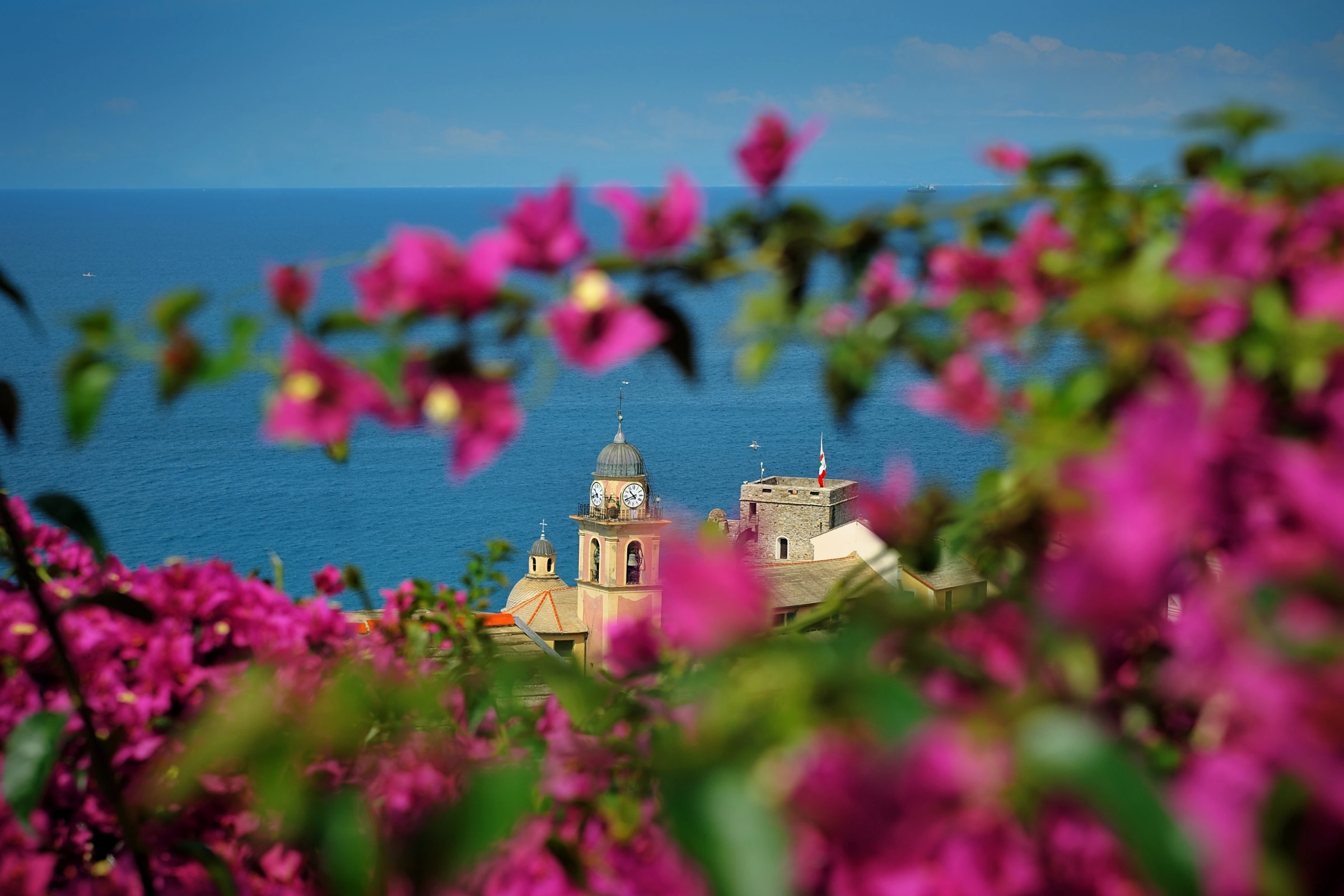 Bougainville_Island[1].webp
